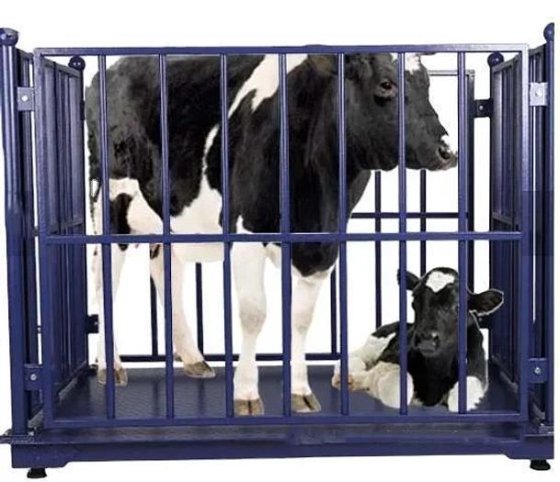 小型牛屠宰场设备 屠宰场屠宰设备 奶牛牛肉屠宰线机器 定制提供