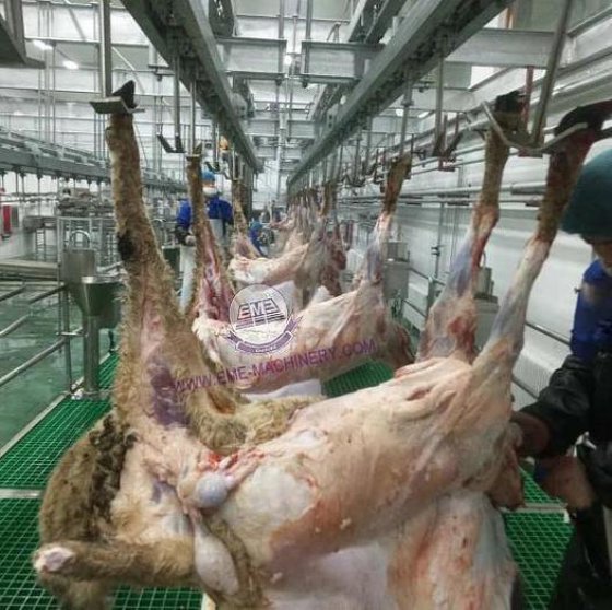 智能屠宰解决方案 用于屠宰场肉类加工的活体绵羊/山羊电击箱 屠宰场设备