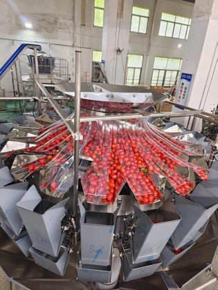 全自动樱桃番茄蓝莓称重灌装生产线蛤壳桶包装机