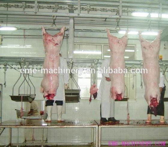 最畅销的屠宰猪机器 屠夫设备加工输送机