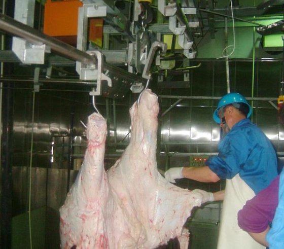 用于牛屠宰厂的工厂级优质牛肉屠宰提升机 牛屠宰场奶牛清真屠宰线