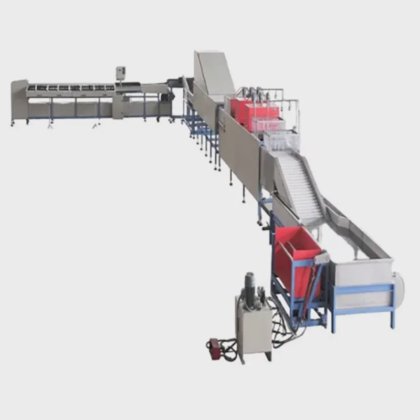 Fruit Sorting Packing Fruit Weight