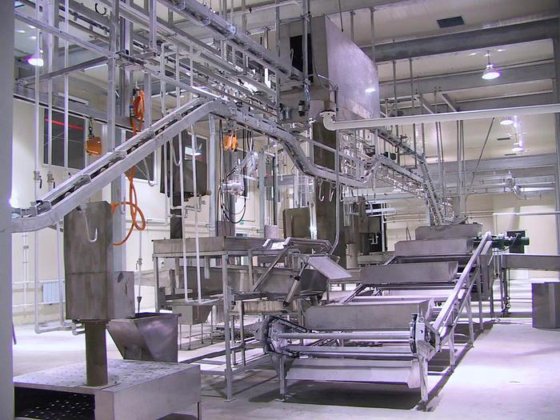 猪/牛/羊头和红内脏同步检查输送机 牛屠宰场设备 屠宰机