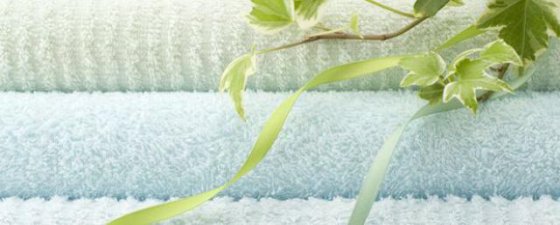 Electrolux IB42310 Mangle