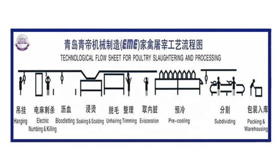 厂价热销小型养鸡场屠宰移动式家禽屠宰场 家禽设备之淘鸡机