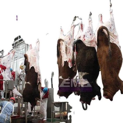 现代设计的日屠宰 370 头牛的屠宰场农业机械设备