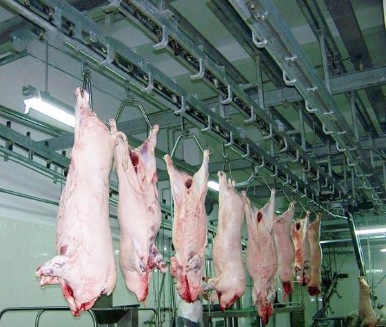 新型屠宰机 工业机械 猪肉屠宰设备 农业机械和设备