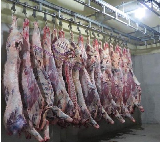 交钥匙工程 牛屠宰场设备 牛加工输送轨道系统机器