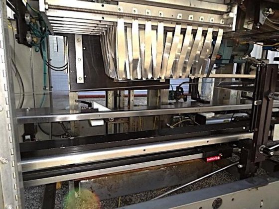 Hartness Case Packer Tray Packer in Palmerton, PA, USA