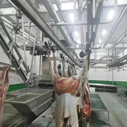 牛胴体液压传送提升机 顶级牛屠宰场机械 用于屠宰线的奶牛屠宰机