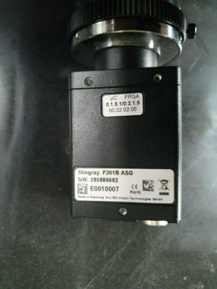 ALLIED VISION STINGRAY