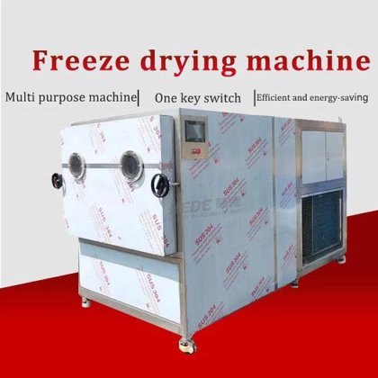 工业冷冻干燥机 食品脱水机 冻干水果