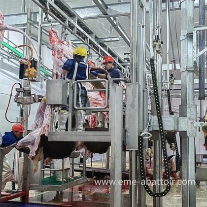 每小时屠宰 250 头牛的大型屠宰场 清真肉类加工人道牛屠宰场设备，出厂价具有竞争力