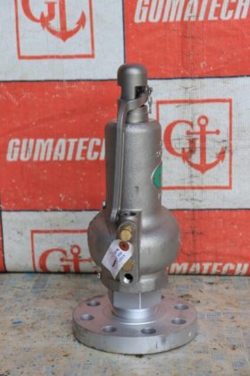 2022 全口径安全阀 S1627L