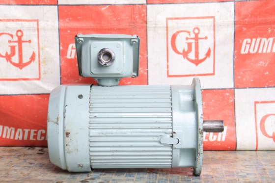 2012 三相誘導モーター FELQ – 5