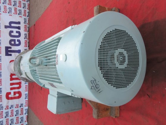 2010 DESMI Y2E2-315L3-4