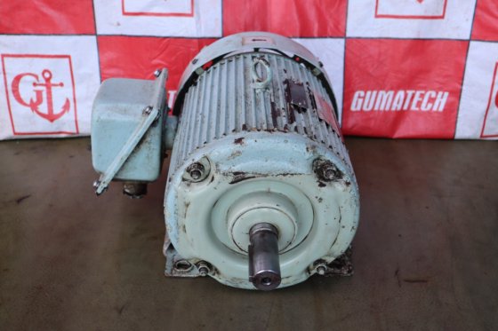 2015 三相感应电机 FEQ