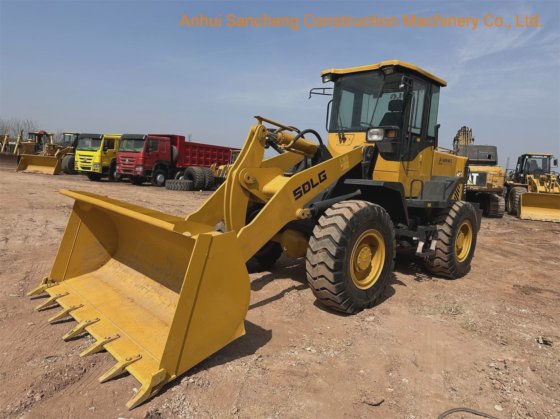 中国 装载机 柳工 厦工 龙工