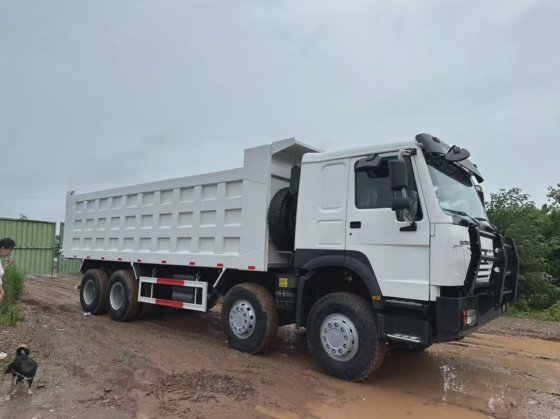 2023 HOWO 8X4 371HP 自卸车（12
