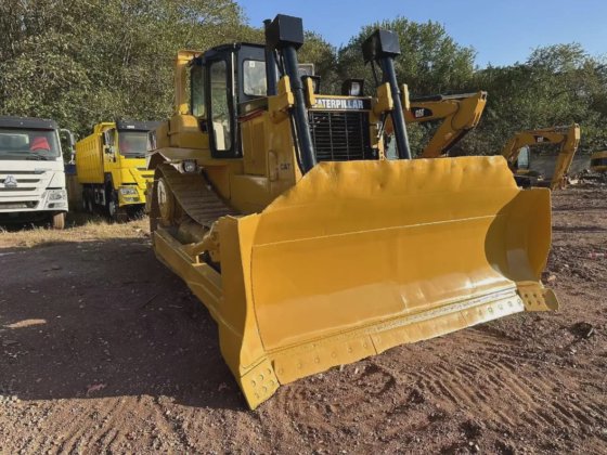 良好な状態 安い価格 猫 D8r 中古