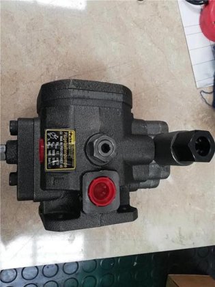 Emanway Parker Pvs Series Pvs08