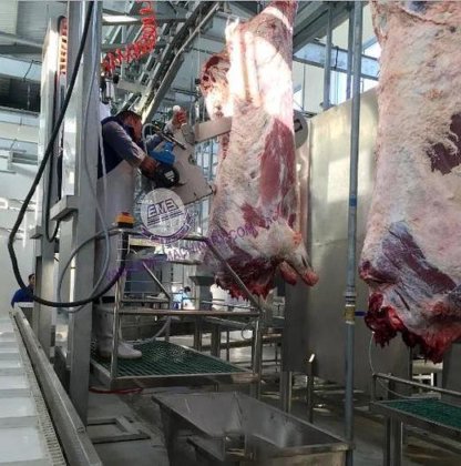 用于屠宰场屠宰车间的优质牛屠宰设备