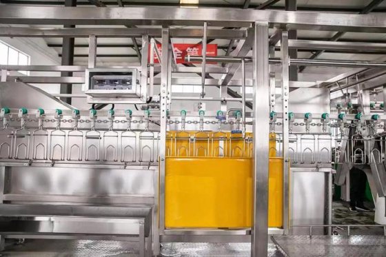 先进的家禽养殖设备 移动式屠宰场 二手家禽加工设备