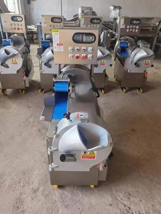 5 年保修电动多功能水果洋葱椰子食品胡萝卜蔬菜切丝机价格