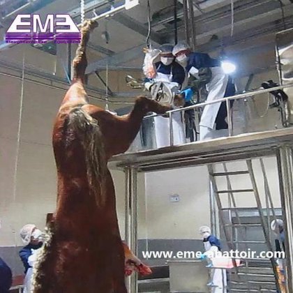 OEM 现代屠宰厂牛羊屠宰用牛角和蹄剪