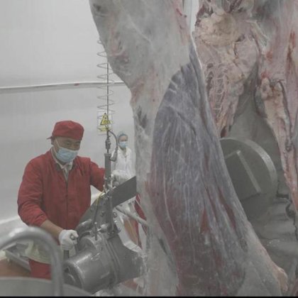 中国制造工厂化生产牛屠宰场机械屠宰设备胴体肉屠宰加工线