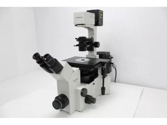 Olympus IX70 Inverted Fluorescence Microscope