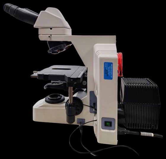 Nikon Eclipse E600 Fluorescence Microscope
