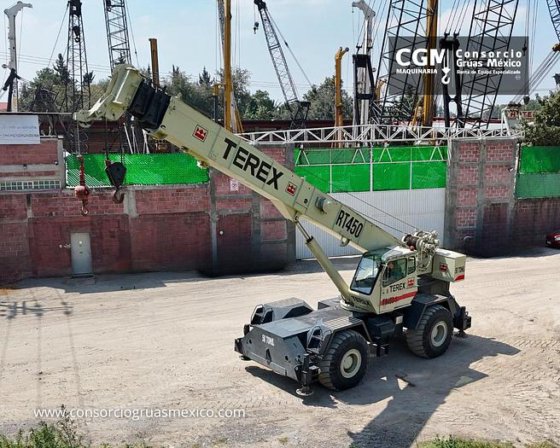 TEREX RT 450
