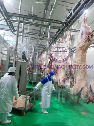 耐用的牛屠宰场设备 用于屠宰场肉类加工的牛肉屠宰牛屠宰机