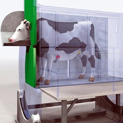 牛肉屠宰场设备 牛屠宰场母牛屠宰机 牛屠宰场用厩肥箱