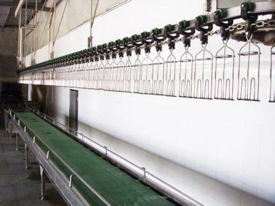 直观的高性能流线型活禽笼带式输送机 屠宰场屠宰场设备