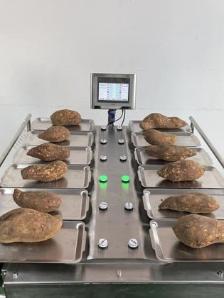 半自動手動の 12 の版はパッキング機械のための秤量機の重量を量るブドウのマンゴーの組合せを量ります