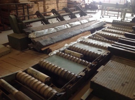 Primultini Primultini