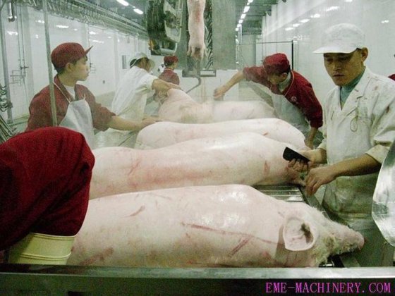 出厂价 母猪屠宰场屠宰设备 用于生猪加工厂的屠宰设备 屠宰线 肉类加工机械