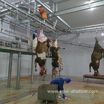 牛屠宰设备 屠宰胴体输送机 铁路牛屠宰场设备 牛屠宰场设备设计