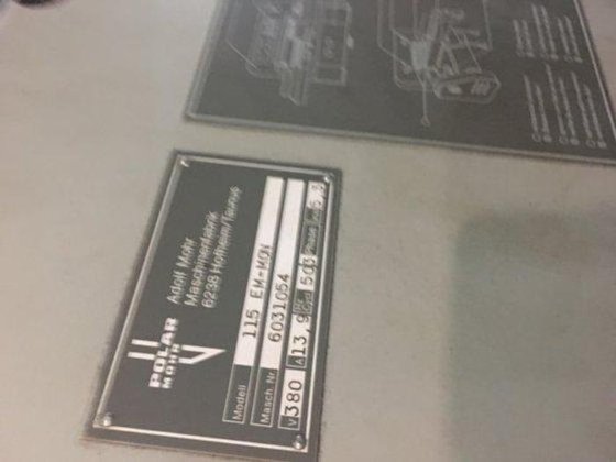 POLAR 115 电子监控器