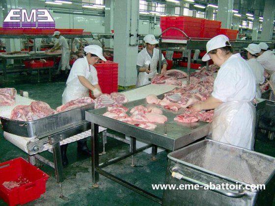 中国制造 工厂生产 木箱干燥机 屠宰场屠宰设备的牲畜肉类加工设备