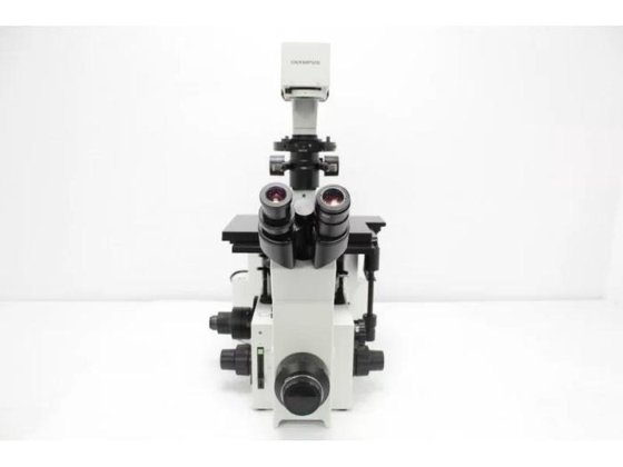 Olympus IX70 Inverted Fluorescence Microscope