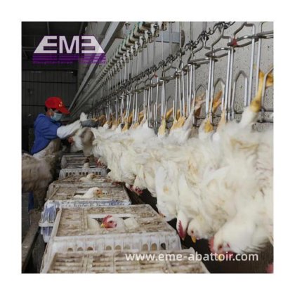 2000 BPH 扒肉机 用于屠宰场的家禽屠宰设备 鸡肉加工机械