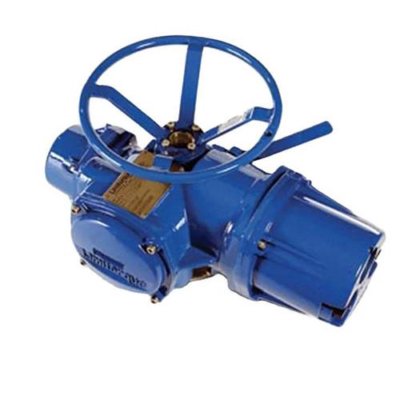 flowserve Limitorque MX