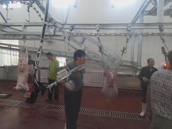 简易羊蹄液压剪切机 屠夫工具 肉类加工机械 清真山羊肉屠宰场设备 用于屠宰场机械