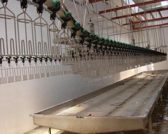 活禽自动宰杀机 鸡屠宰机 屠宰场设备和工具 肉类加工机