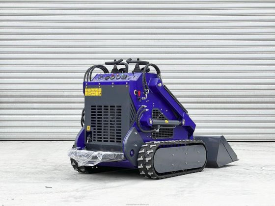 LOONGSHEEN FACTORY !Cheap crawler mini