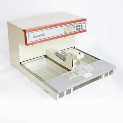 樱花解剖学套装