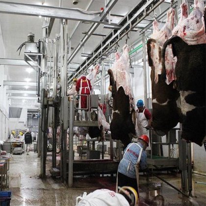 牛屠宰场设备 四肢胴体圆锯屠宰设备 屠宰设备